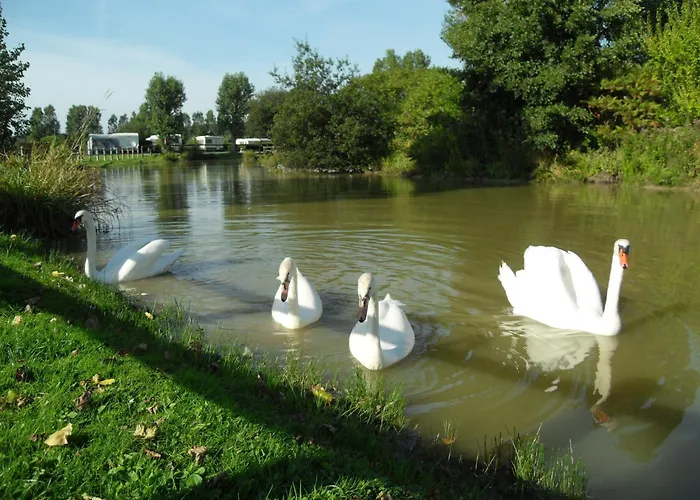 Camping Le Marqueval